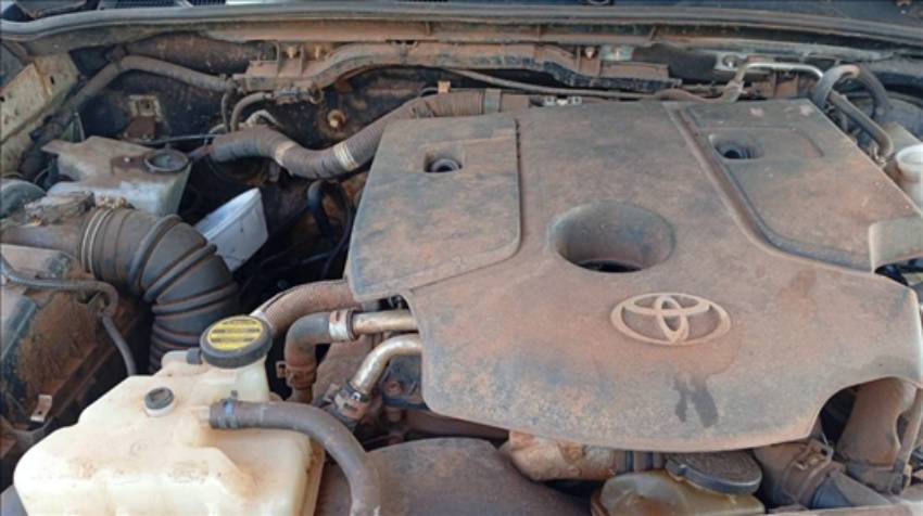Foto