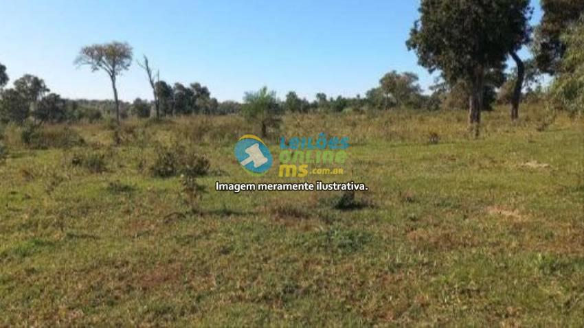 Imagem do imóvel 304 HA E 290M² DE TERRAS PASTAIS E LAVRADIAS, PARTE DA FAZENDA "BARREIRO PRETO", SITUADA EM CARACOL - MS