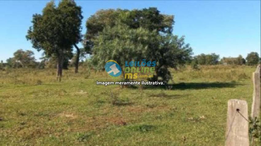 Imagem do imóvel SETENTA HECTARES DE TERRAS PASTAIS E LAVRADIAS PARTE DA FAZENDA "BARREIRO PRETO", SITUADA EM CARACOL - MS