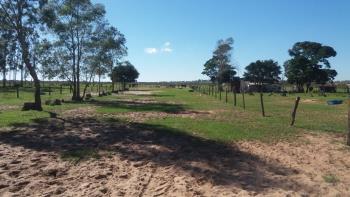 FAZENDA PAIOL- 1023 HECTARES TERRAS PASTAIS 
