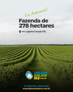 2 ÁREAS NA ZONA RURAL - DISTRITO DE LAGUNA CARAPÃ/MS.